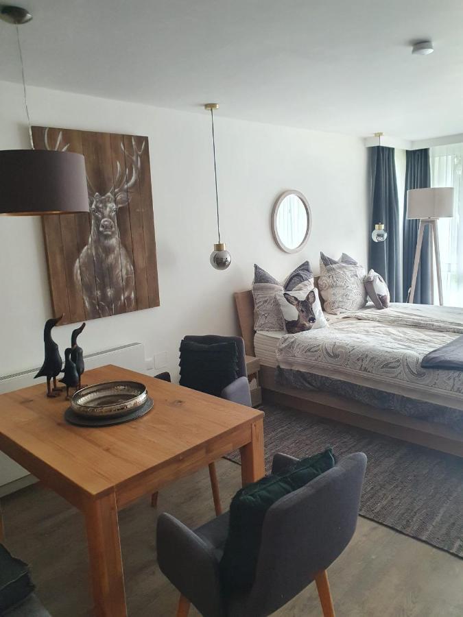 Maurers Schlierseetraum: Renovated Studio with Private Terrace Exterior photo